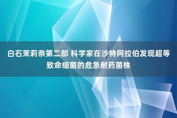 白石茉莉奈第二部 科学家在沙特阿拉伯发现超等致命细菌的危急耐药菌株