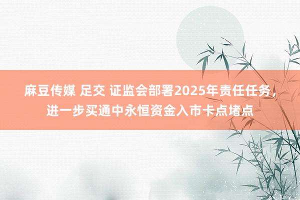 麻豆传媒 足交 证监会部署2025年责任任务，进一步买通中永恒资金入市卡点堵点